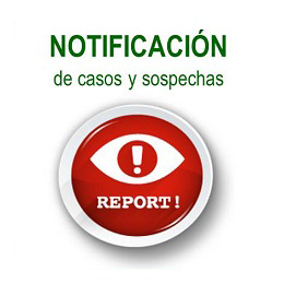 Notifica casos sospechosos de explotación sexual. ECPAT España